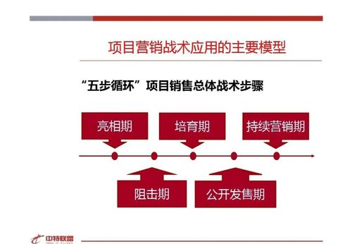 房地產(chǎn)營銷策劃思路精髓與信息咨詢價值探析